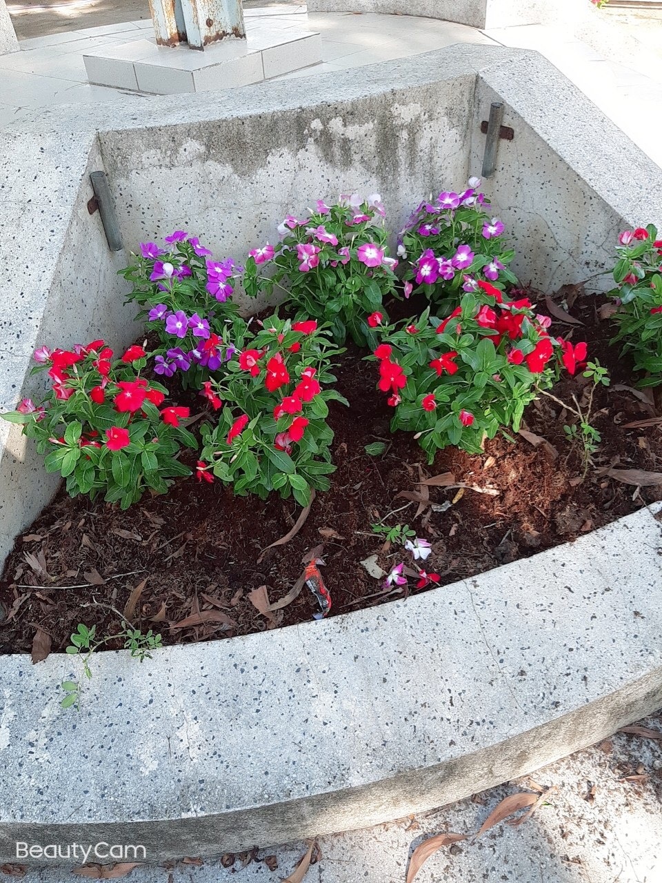 Slideshow Image 1