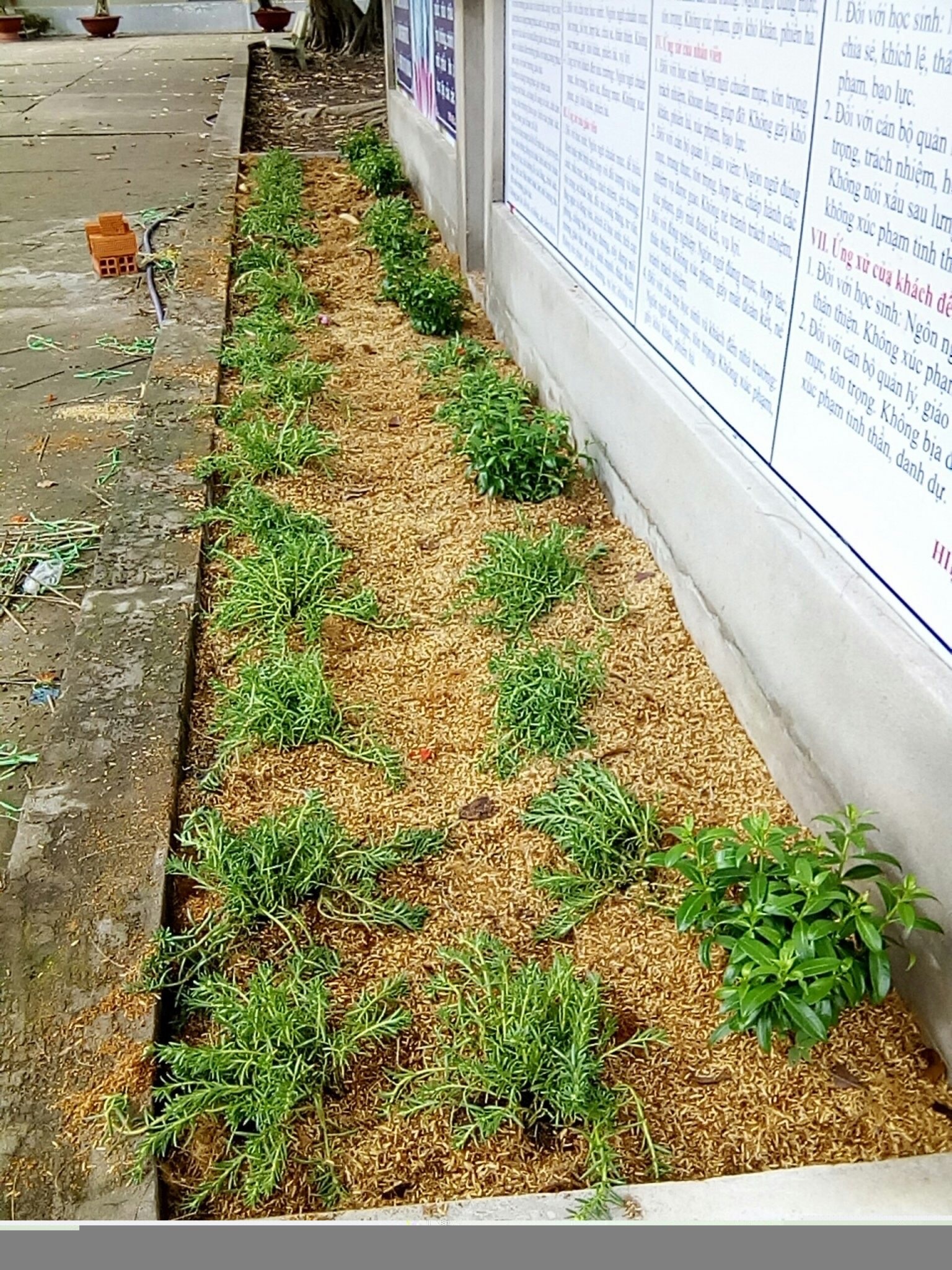 Slideshow Image 1